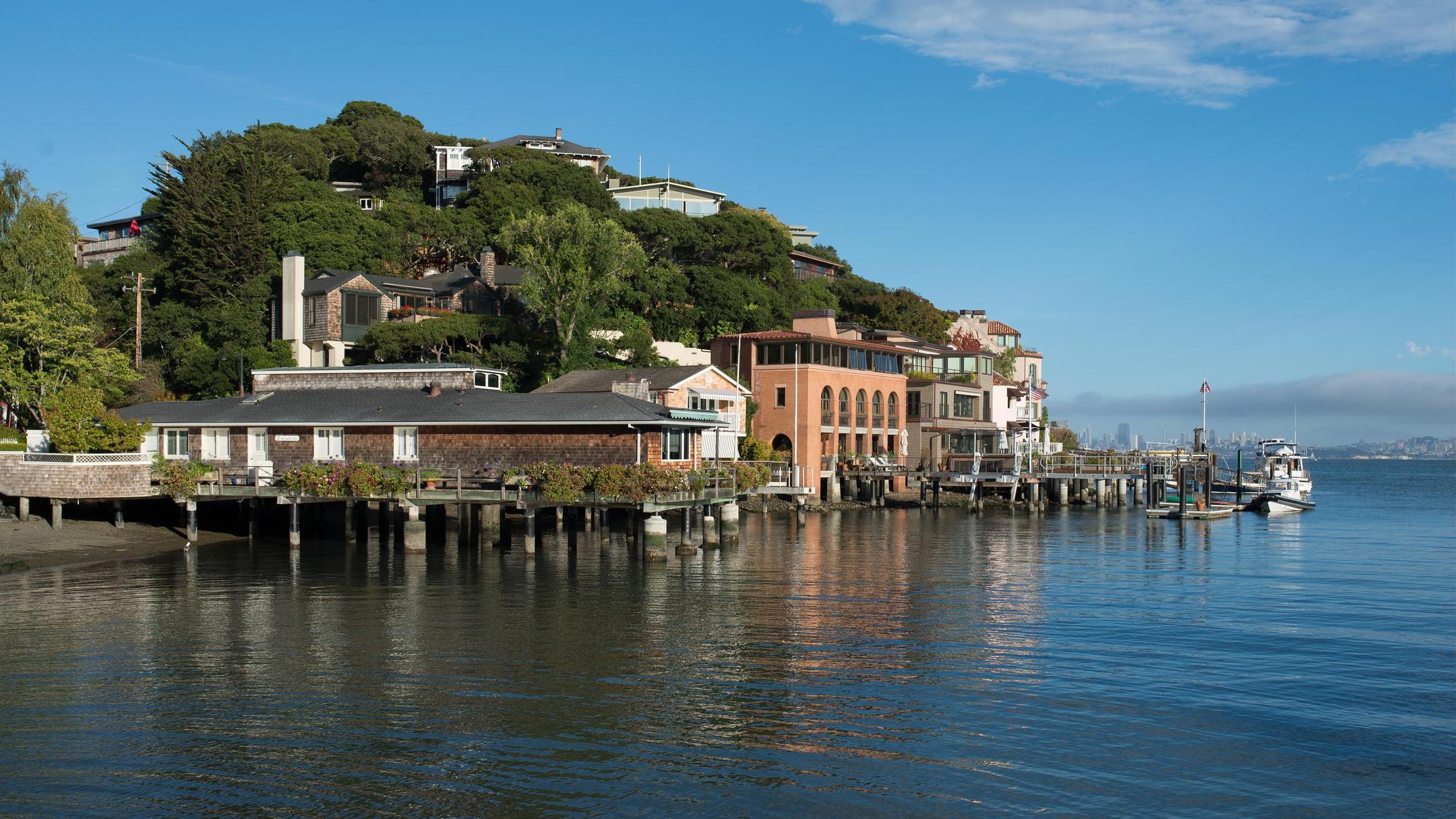 Pauschalreisen Nach Tiburon SWOODOO pauschalreisen-nach-tiburon-swoodoo