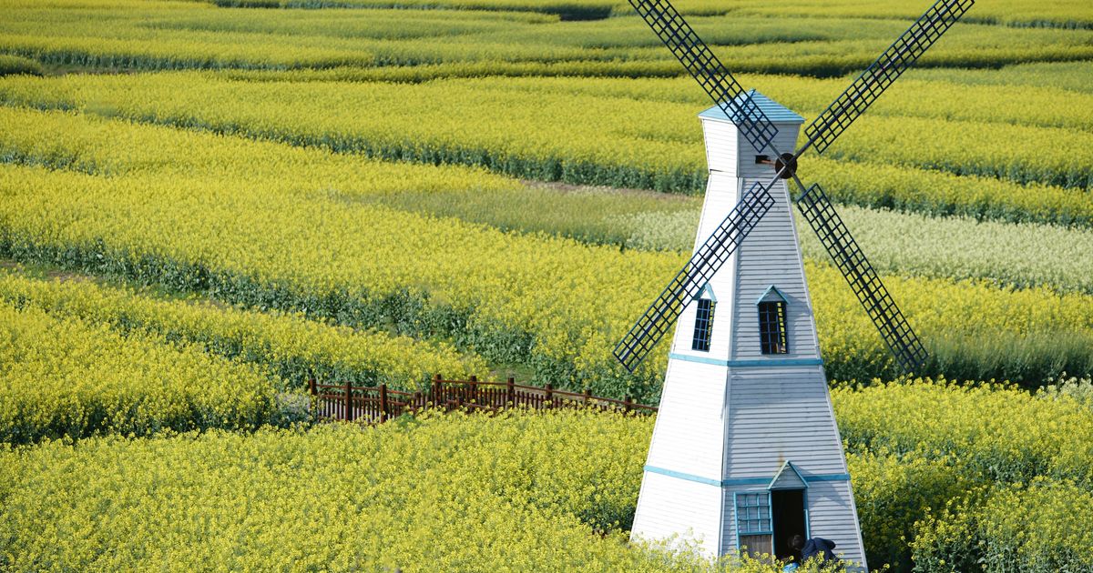 Penerbangan Murah Ke China Harga Mulai Rp 2 040 257 Kayak Penerbangan Murah Ke China Harga Mulai Rp 2 040 257 Kayak