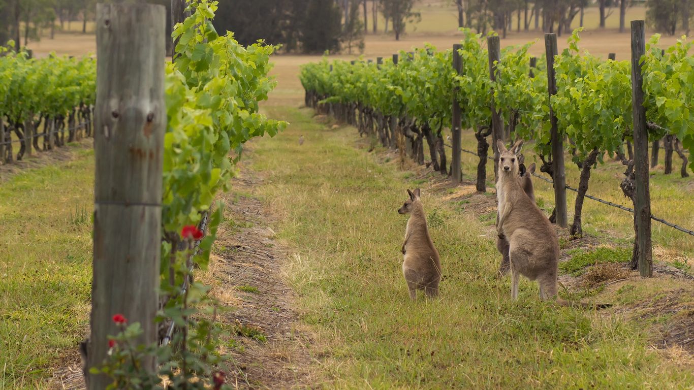 Flüge nach New South Wales