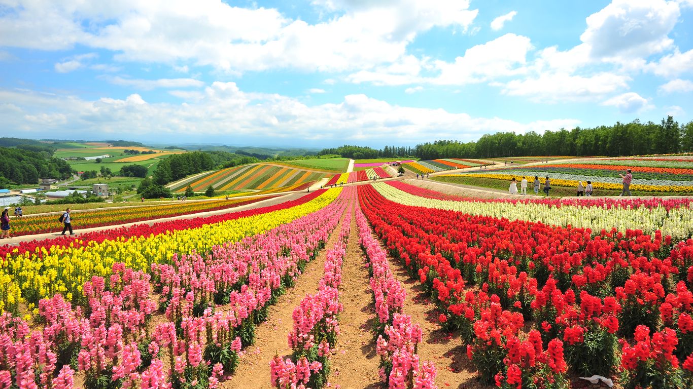 Präfektur Hokkaido Präfektur Hokkaido