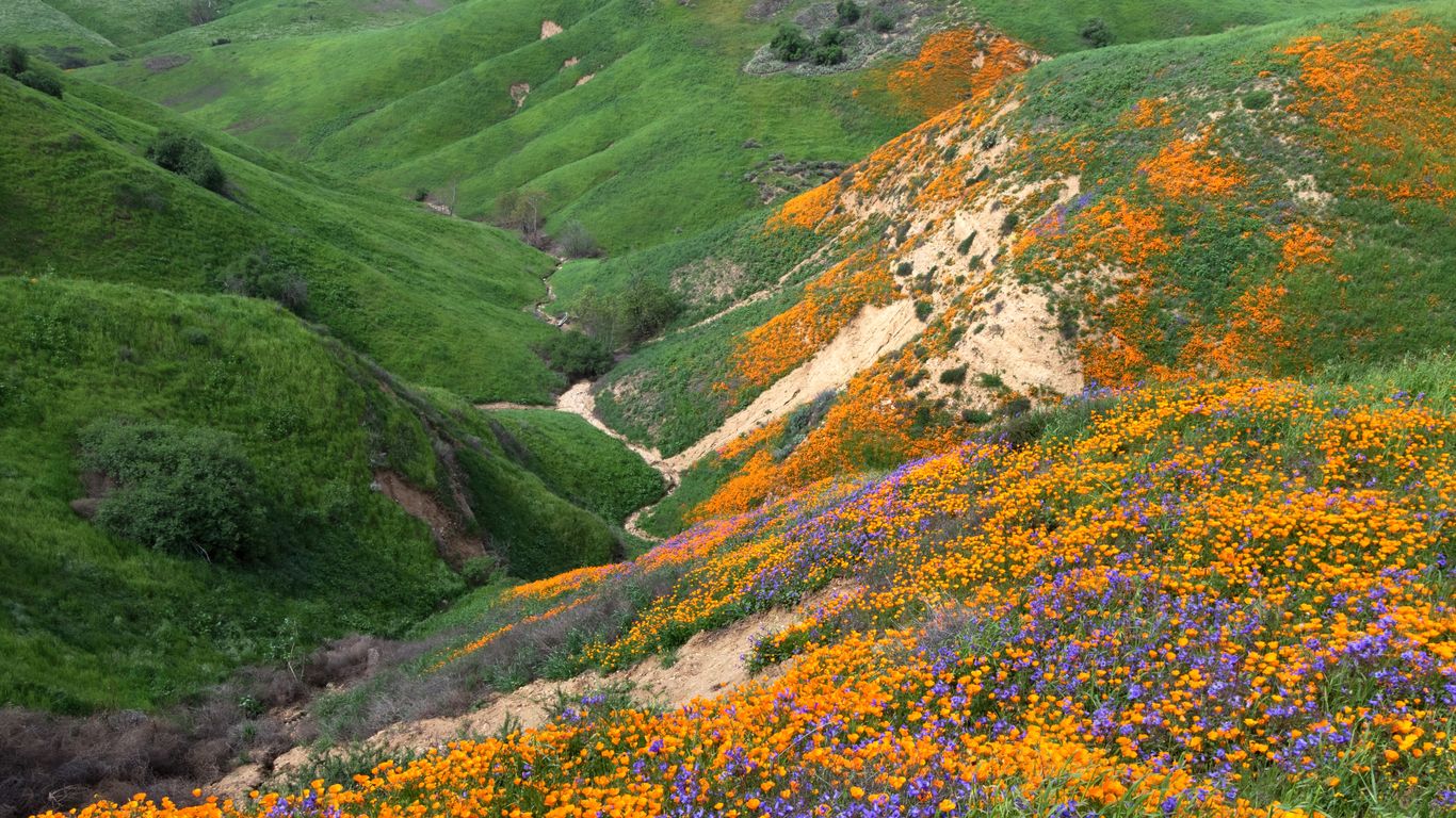 Holidays in Yorba Linda