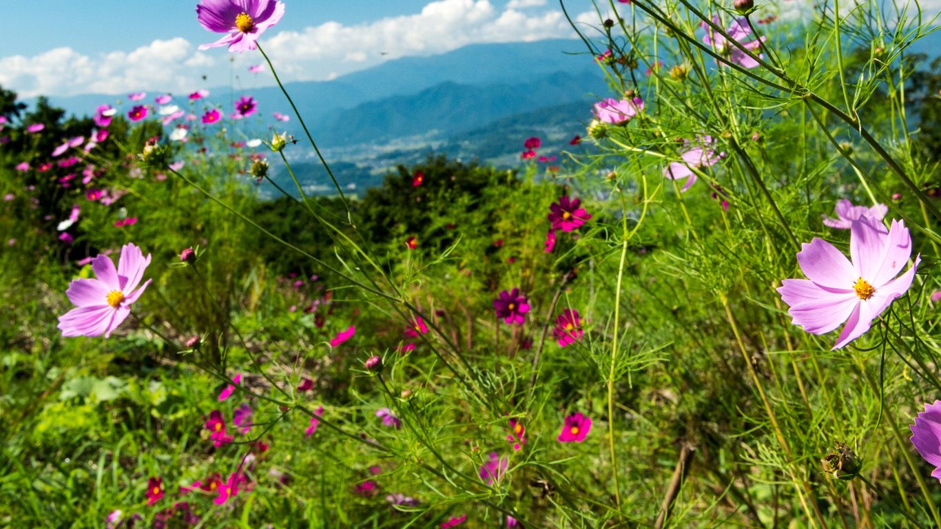 Flights to Nagano (prefektur)