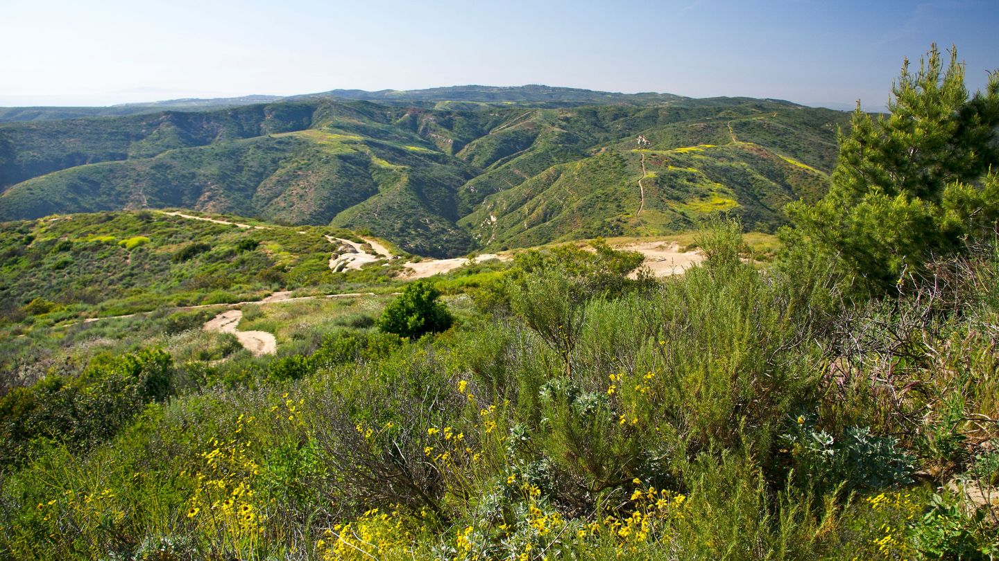 Car Rentals in Orange County from $23/day - Search for Rental Cars on KAYAK