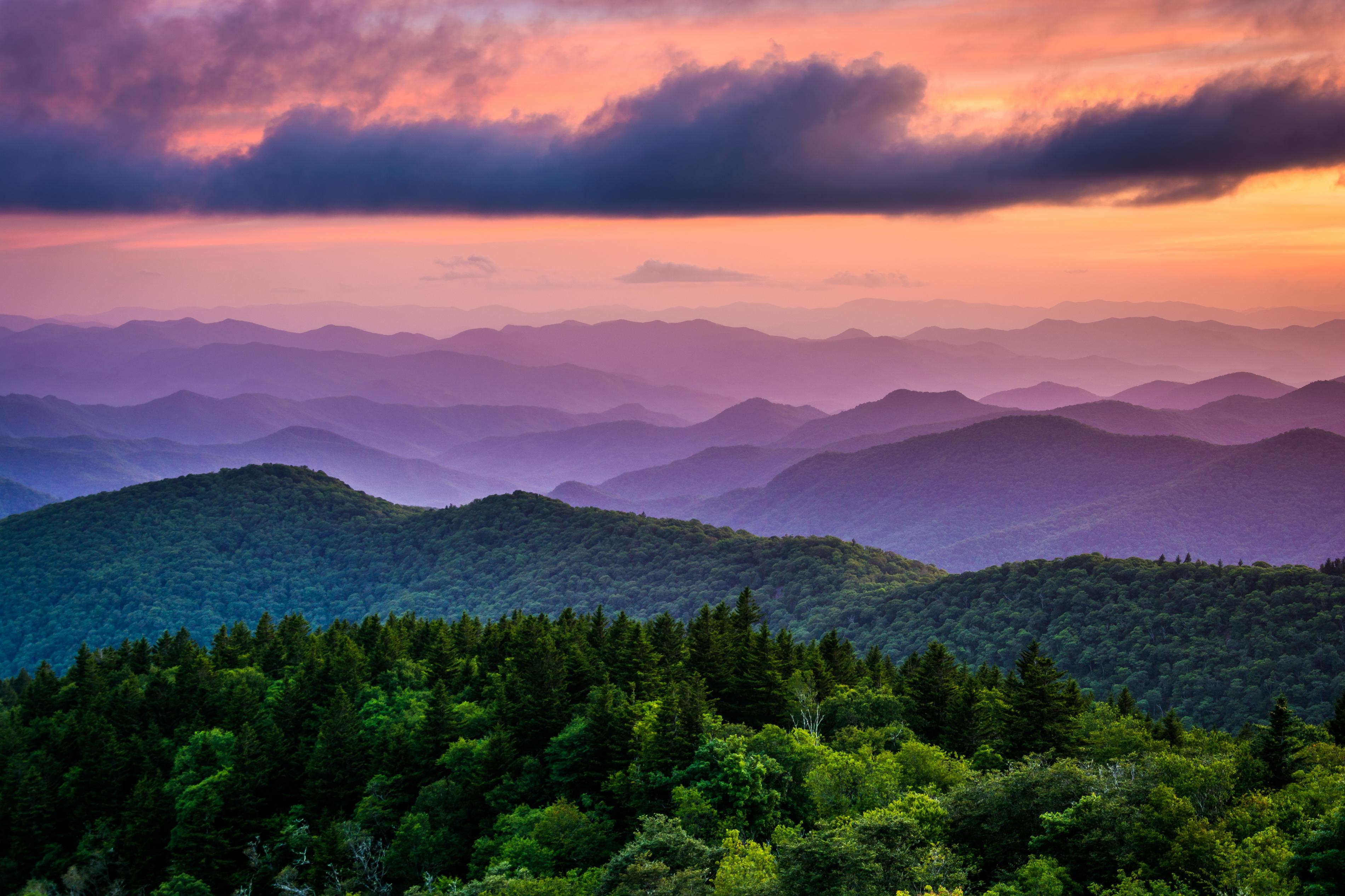 Flights from New Orleans LA to North Carolina NC from 48