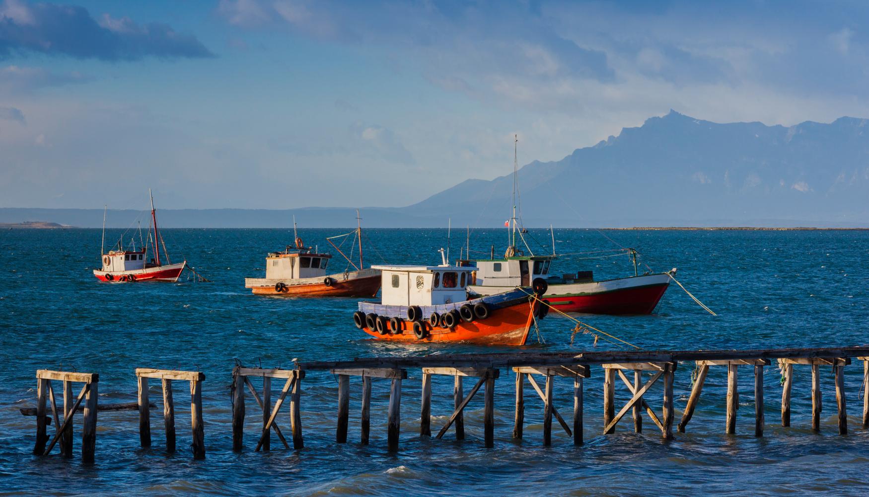 puerto natales boat tours