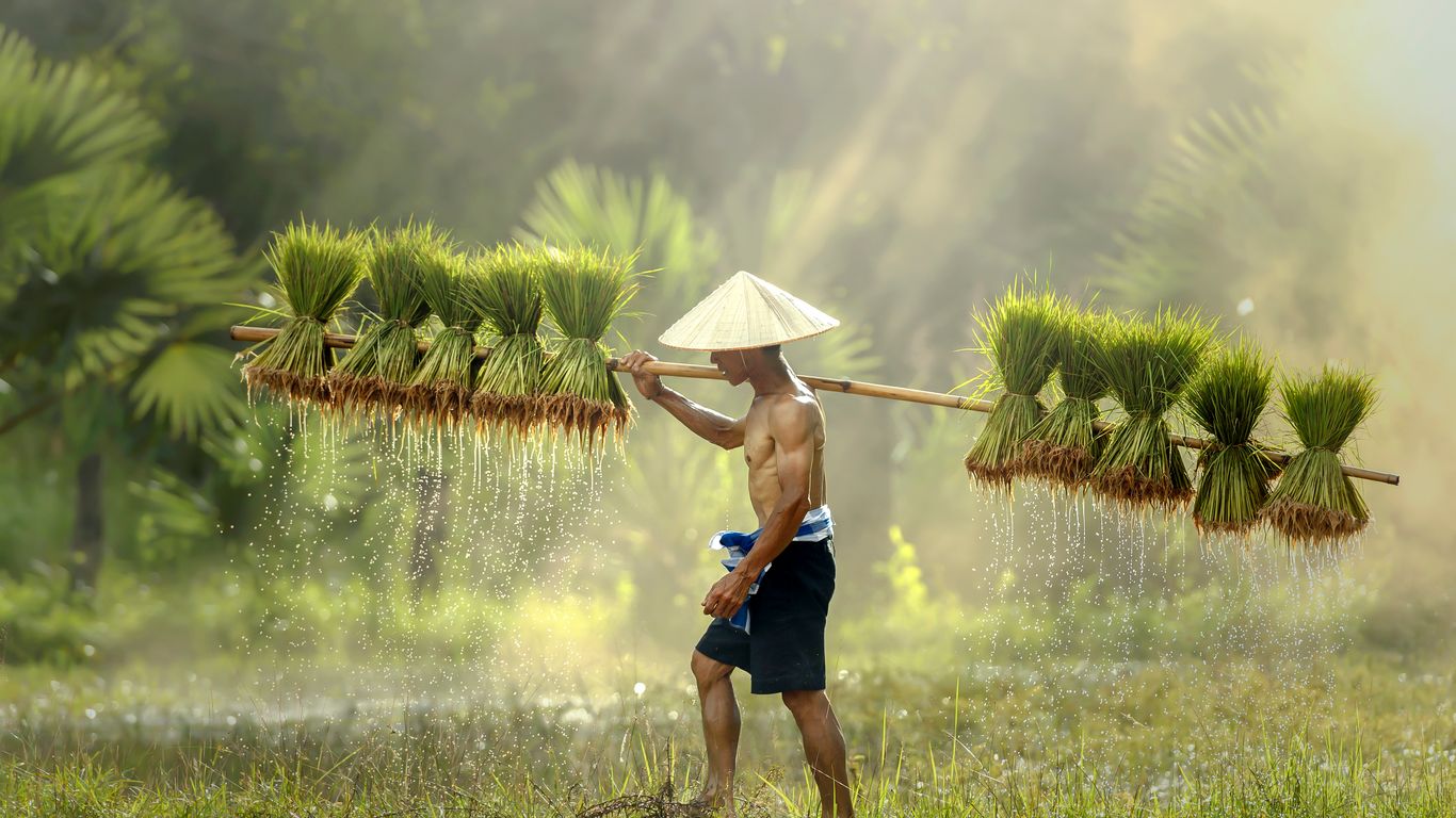 Flights to Sakon Nakhon