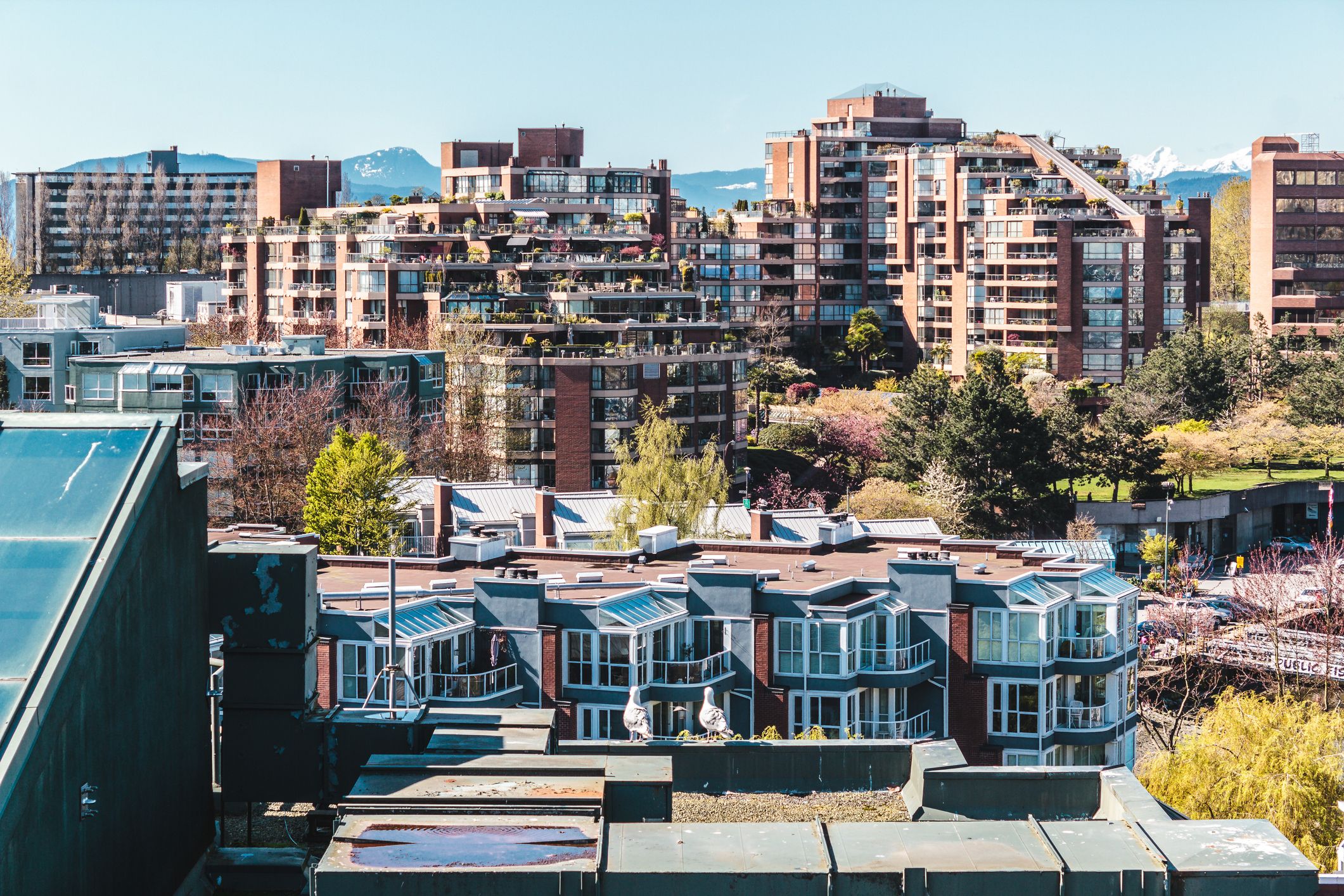 South Cambie