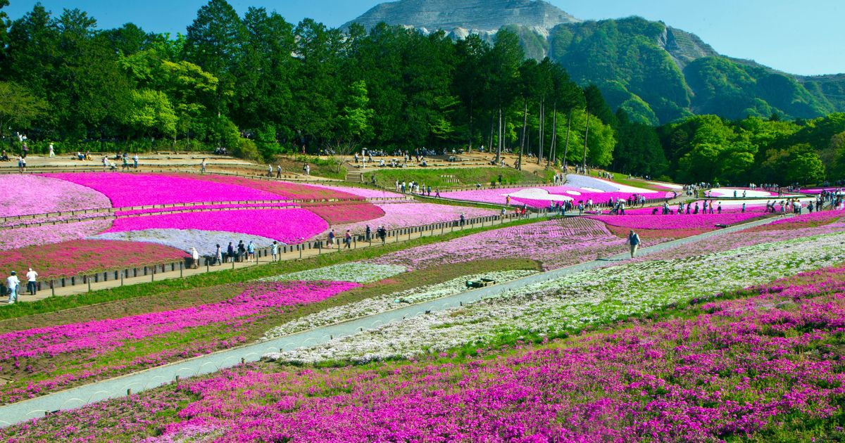 Chichibu Travel Guide | Chichibu Tourism - KAYAK