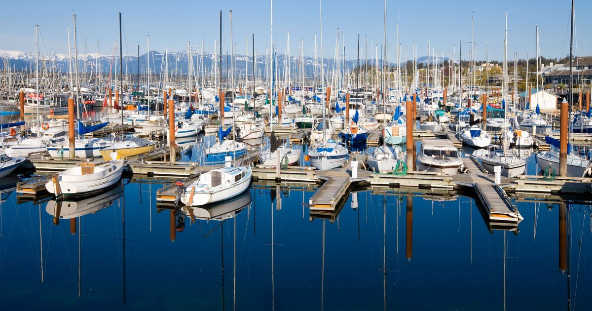 C 191 Cheap Flights from Calgary to Comox (YYC YQQ) KAYAK