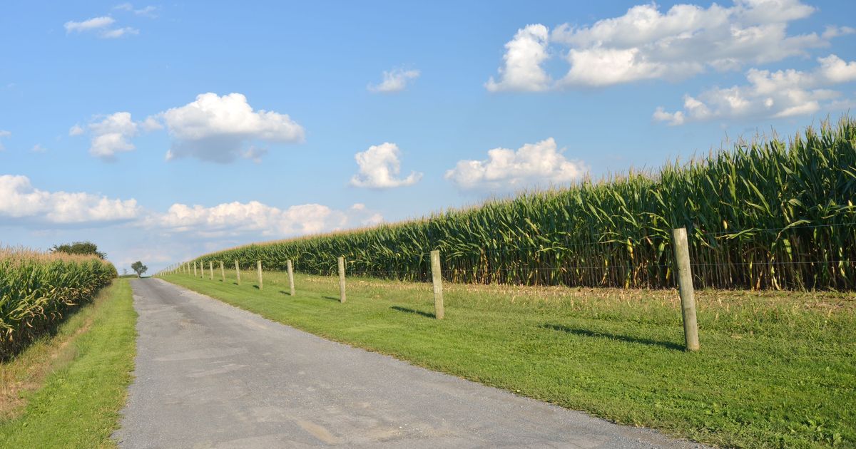 £786 Cheap Flights from Exeter to Pennsylvania KAYAK