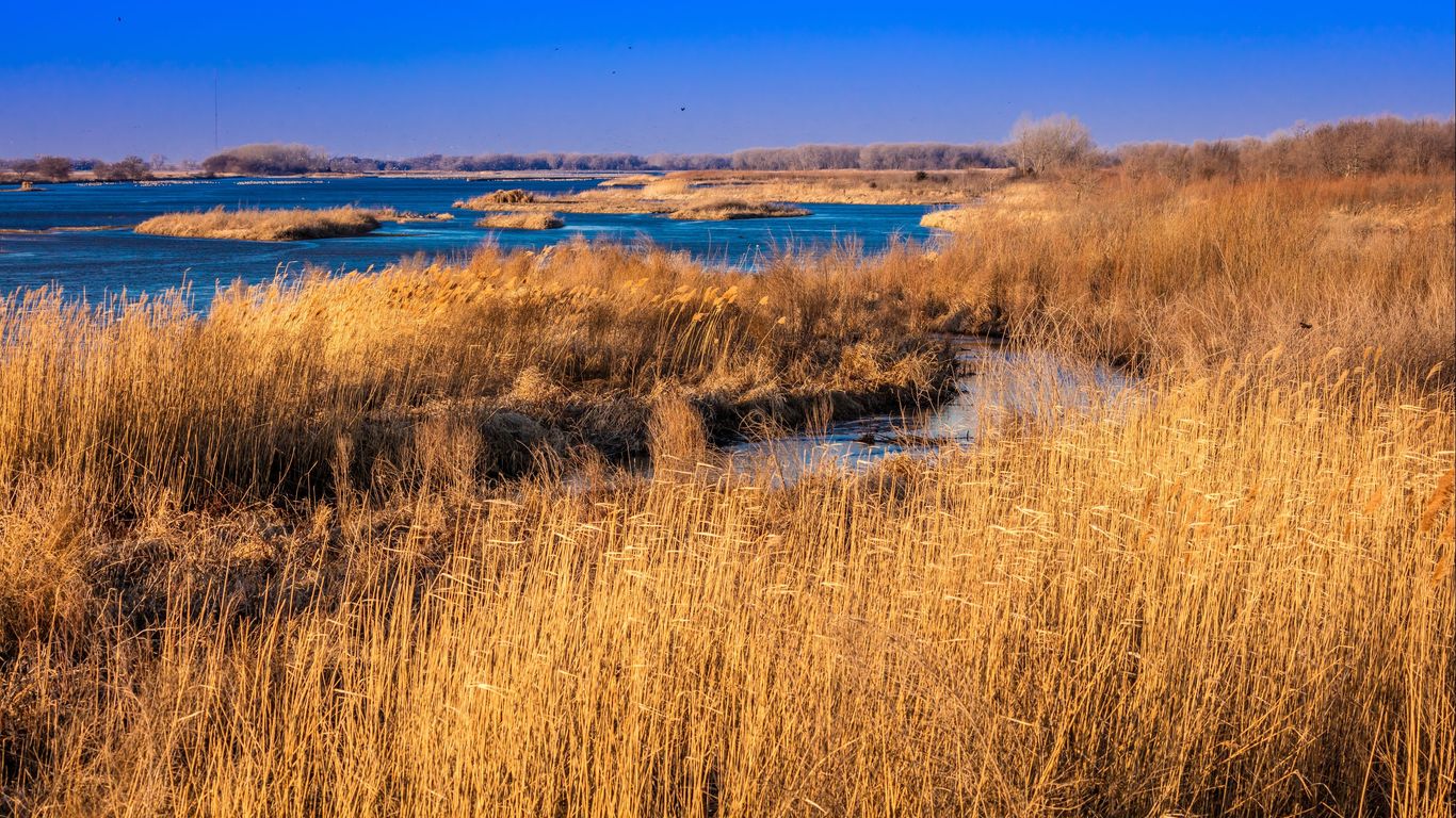 Grand Island Grand Island