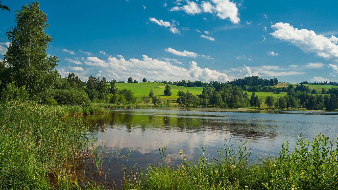 Hotels in Bad Bayersoien