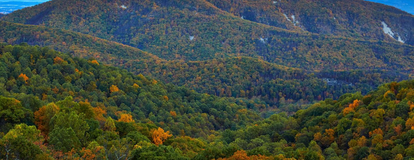 Car Rental Harrisonburg from 27/day Search for Rental Car Rental Harrisonburg from 27/day Search for Rental