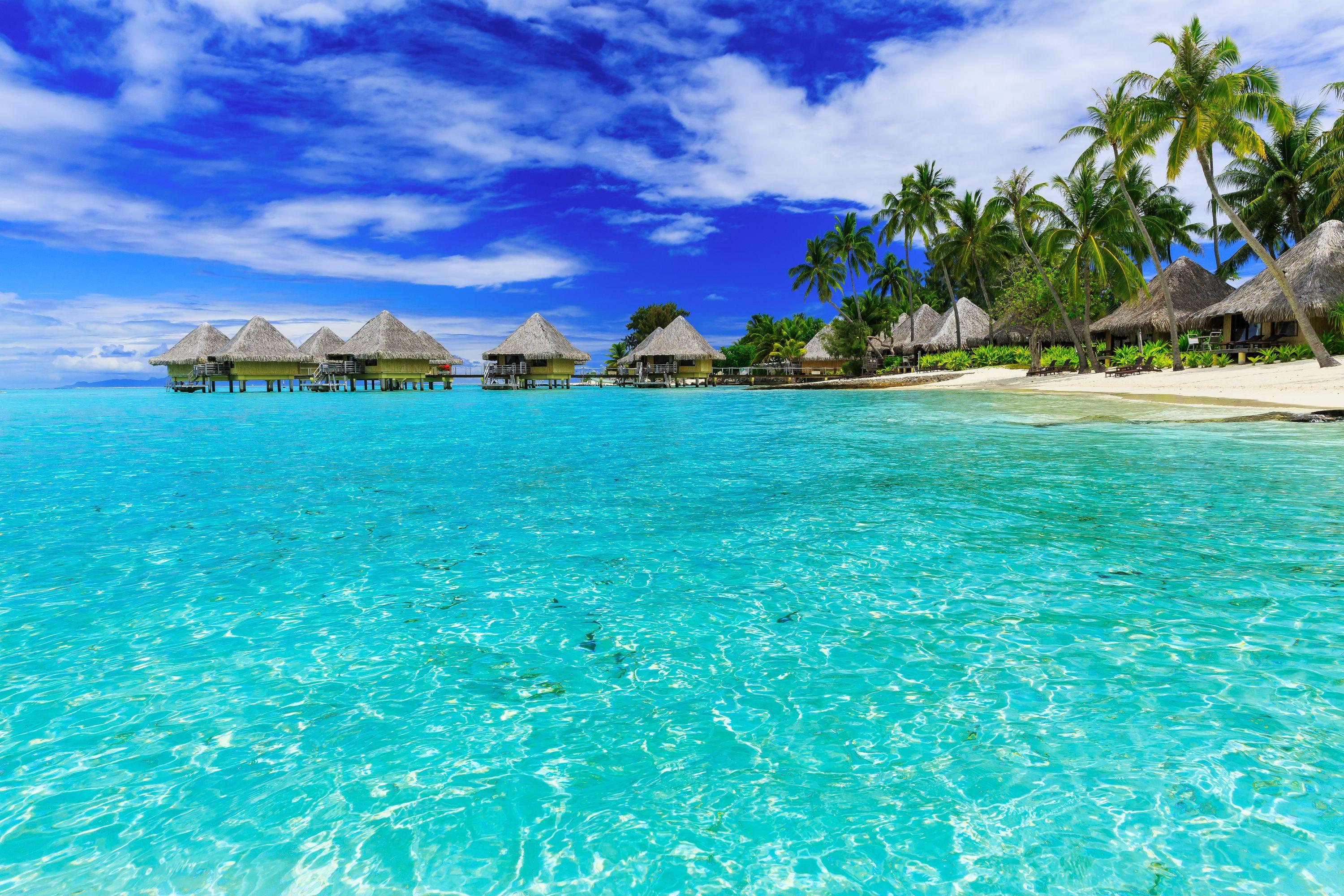 Bora Bora Vacation Packages from C$ 3,343 - Search Flight+Hotel