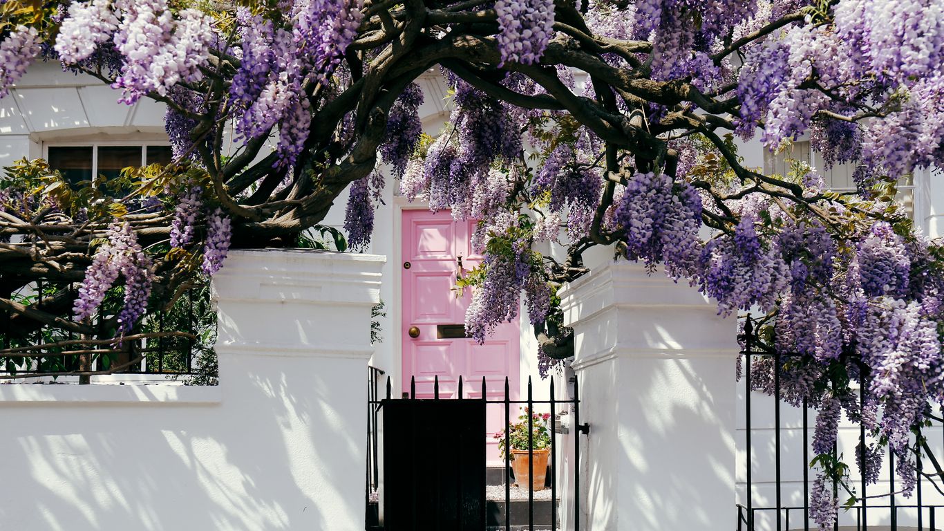 Kensington e Chelsea Kensington e Chelsea