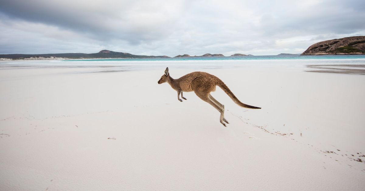 Cheap Flights To Esperance Find Esperance Flights Cheapflights au Cheap flights to esperance find esperance flights cheapflights au
