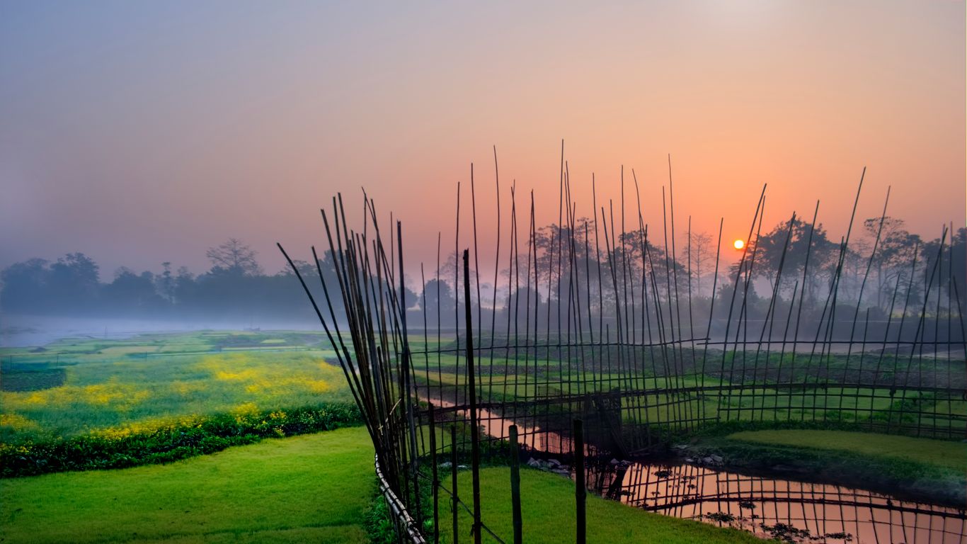 Flights to Assam