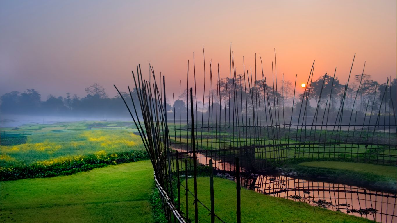 Flights to Assam