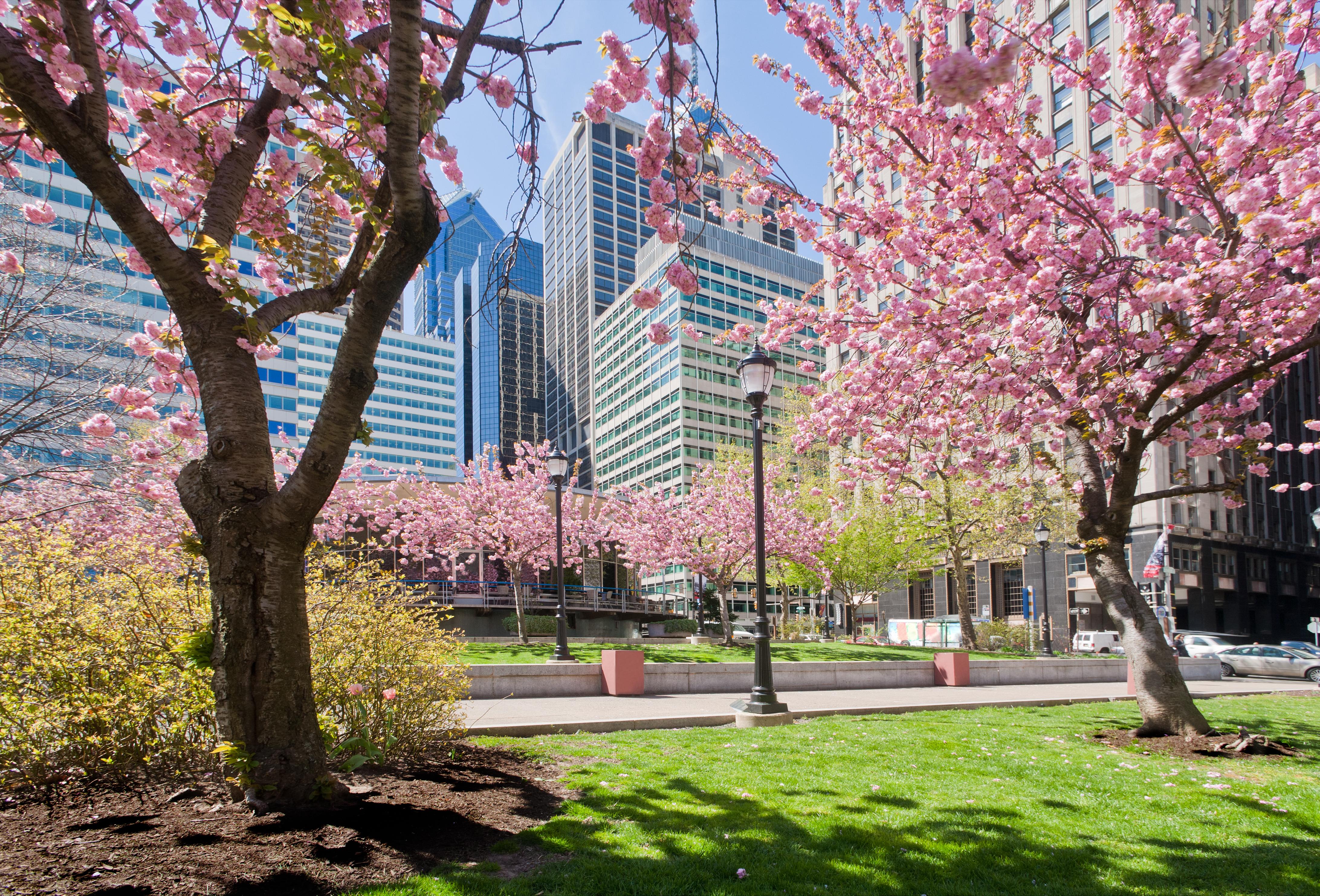 Trains from Boston to Philadelphia from 47 Amtrak tickets on KAYAK