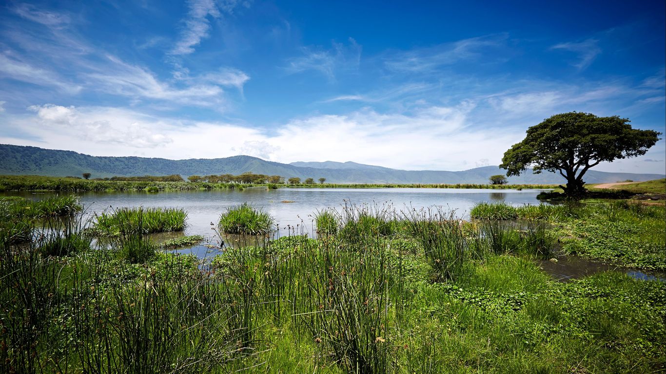 Hotels in Ngorongoro