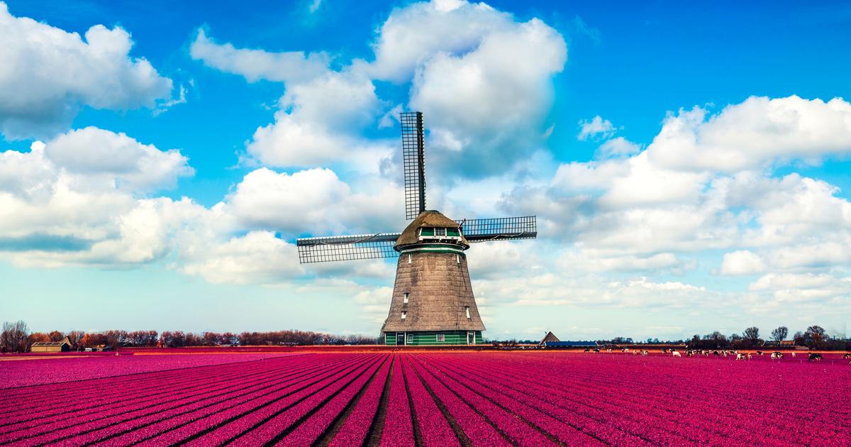 Cheap Flights To The Netherlands From $180 - Kayak