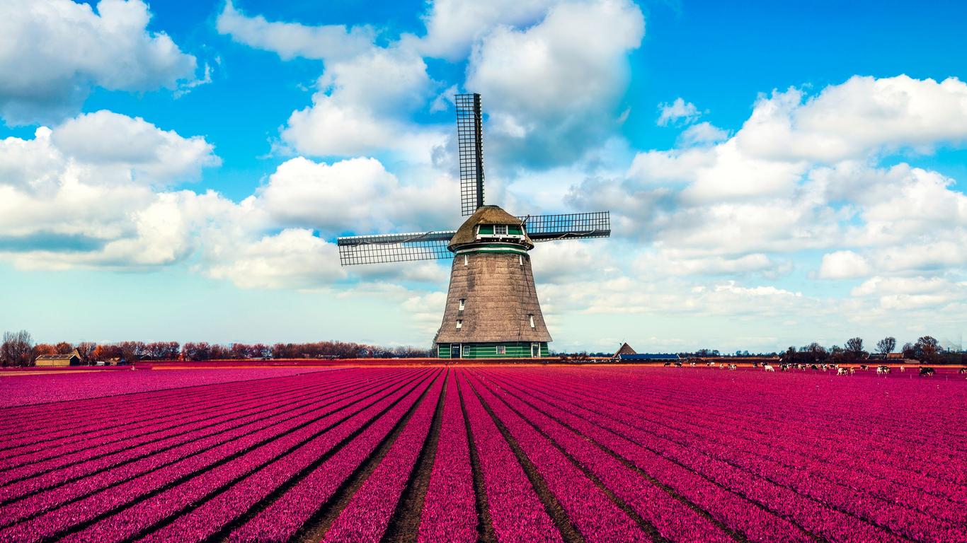 Urlaube in den Niederlanden