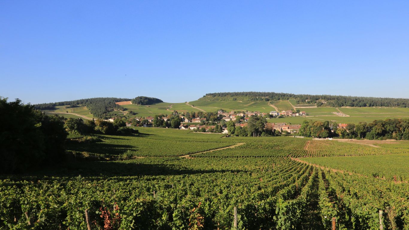 Hotels in Mercurey
