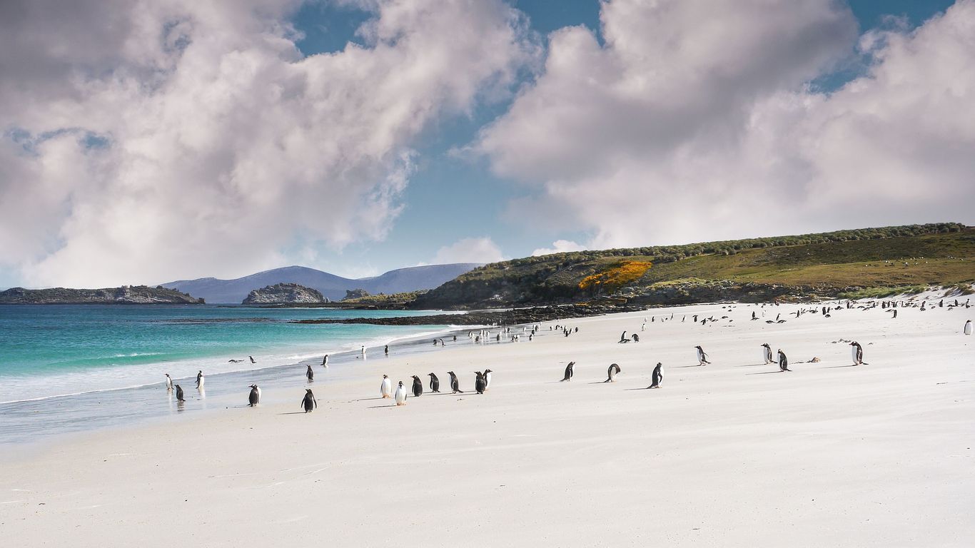 Flights to Falklandsøerne