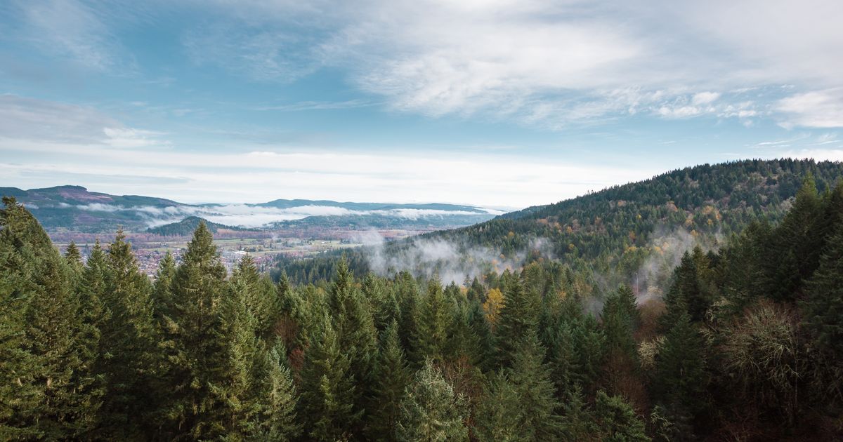 Springfield Travel Guide | Springfield Tourism - KAYAK