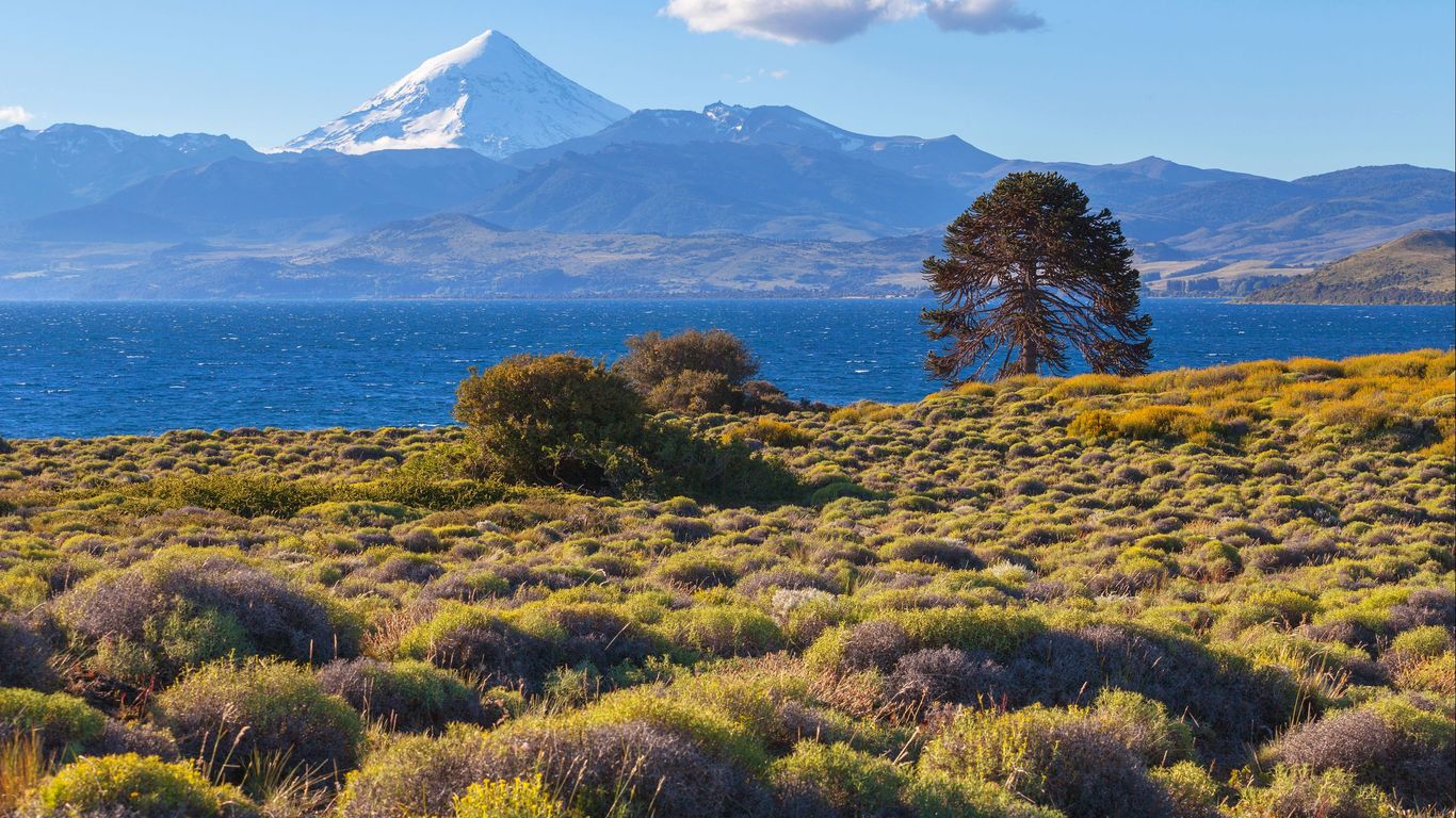 Hotels in Patagonia