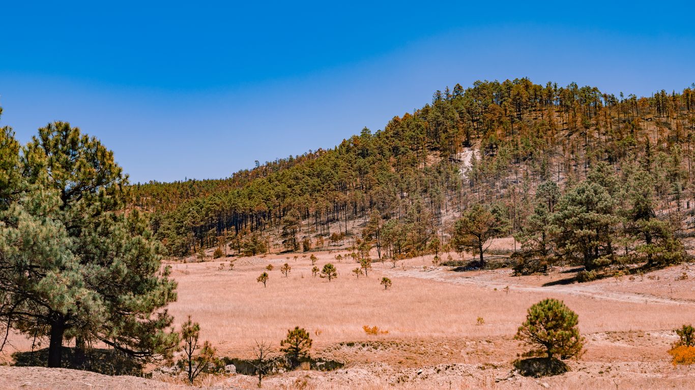 Férias em Chihuahua
