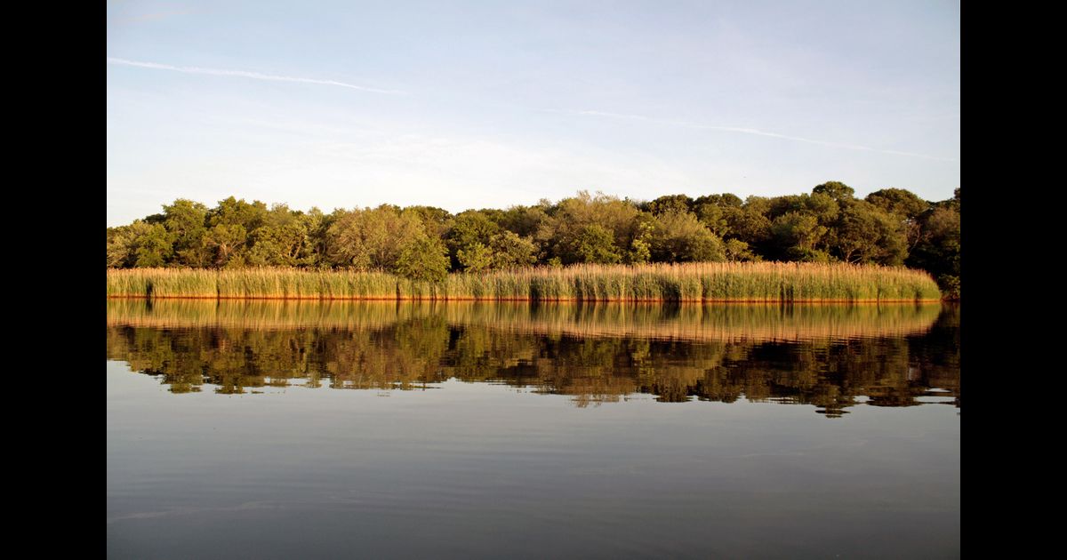 Hertz Car Rentals in Riverhead from 43/day KAYAK