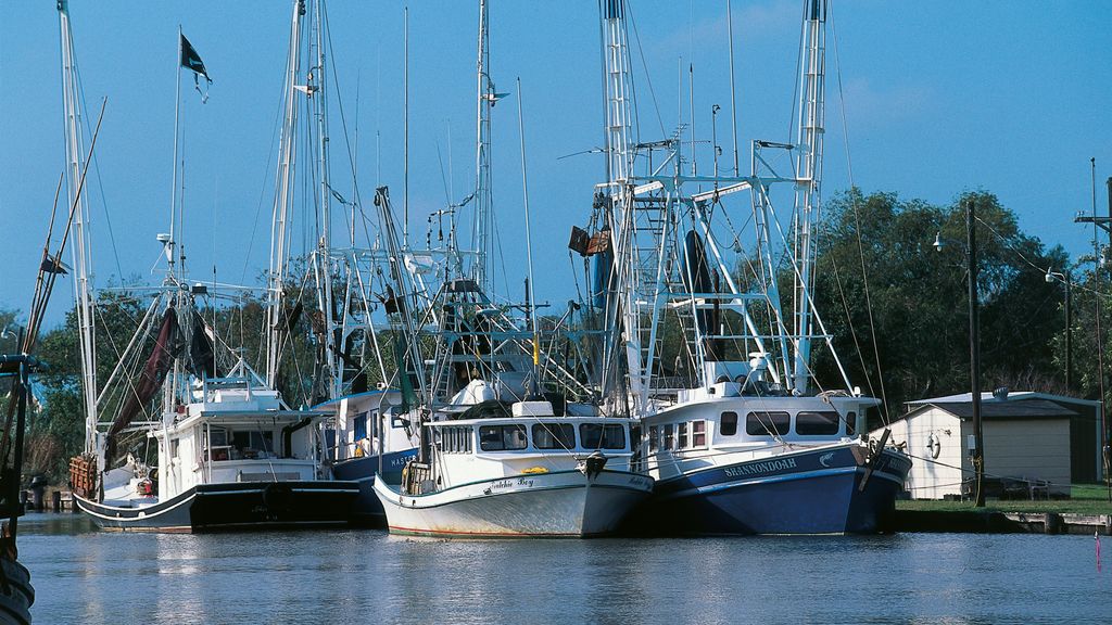 Houma Shell Houma Travel Guide | Houma Tourism - KAYAK