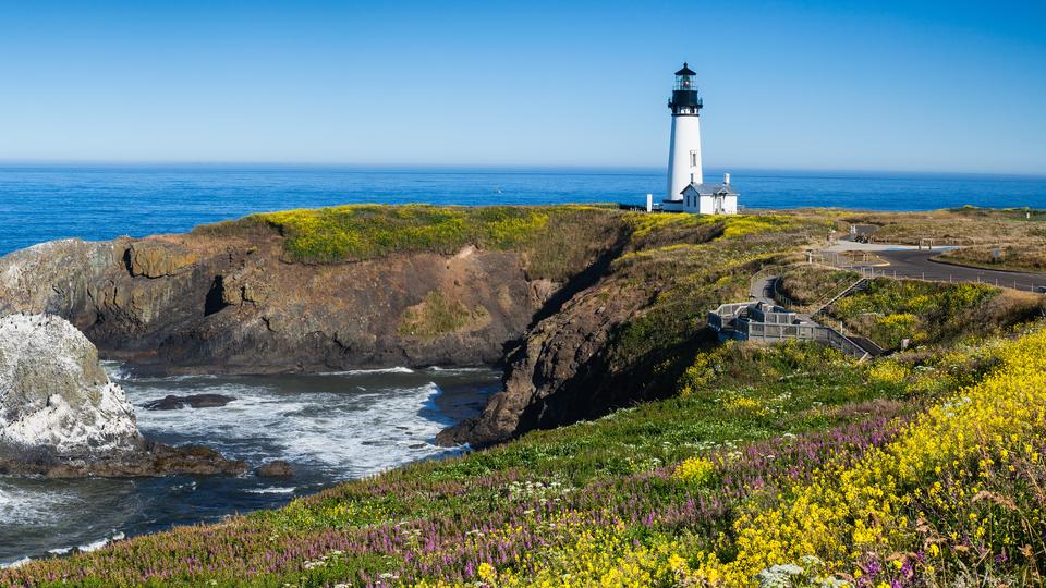 Car Rentals in Newport, Oregon Search for Rental Cars on Car Rentals in Newport, Oregon Search for Rental Cars on