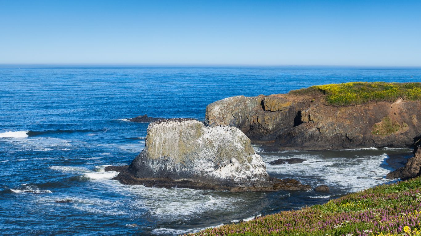 Hotels in Newport