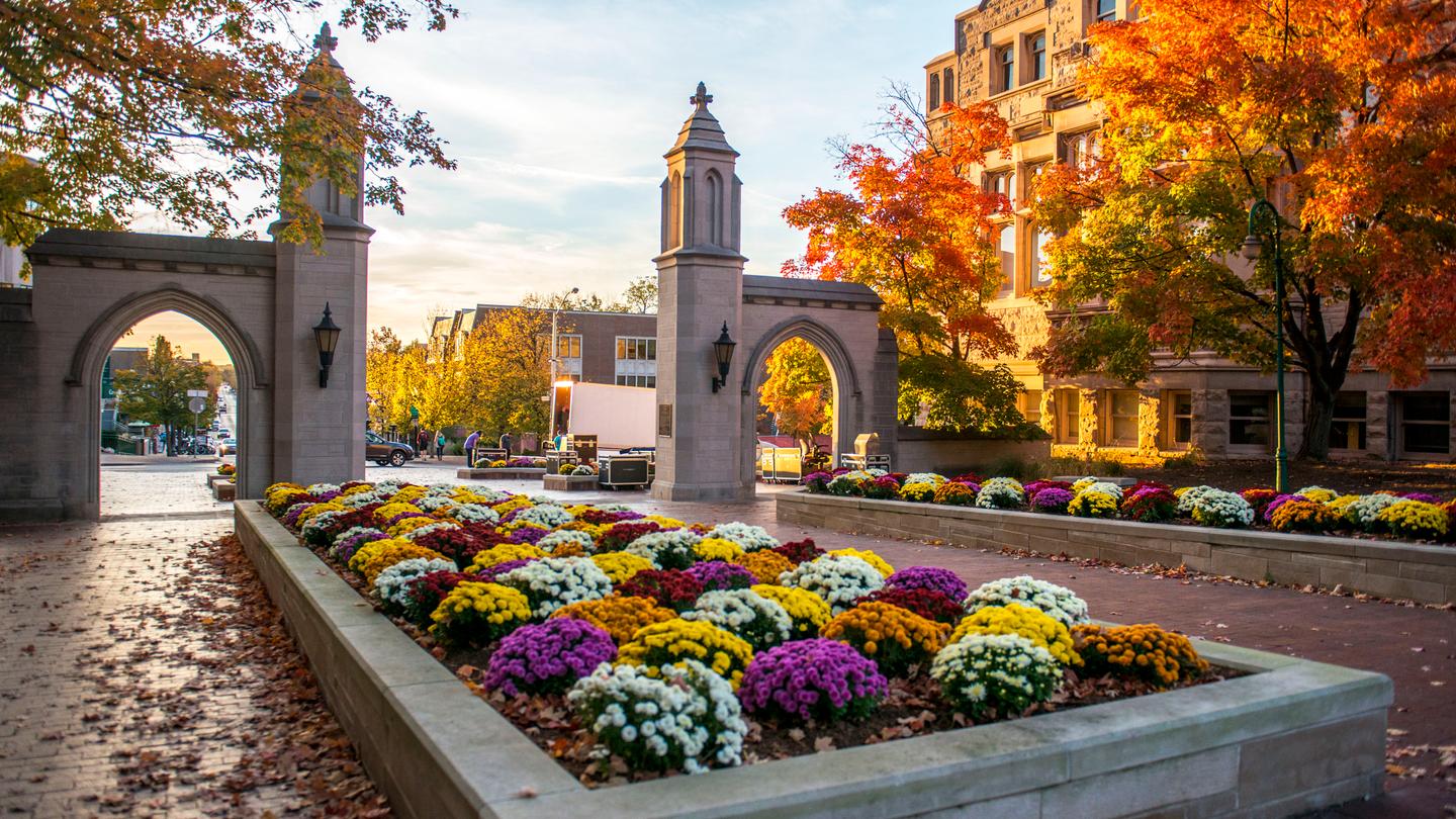 Car Rentals in Bloomington from 43/day Search for Car Rentals in Bloomington from 43/day Search for