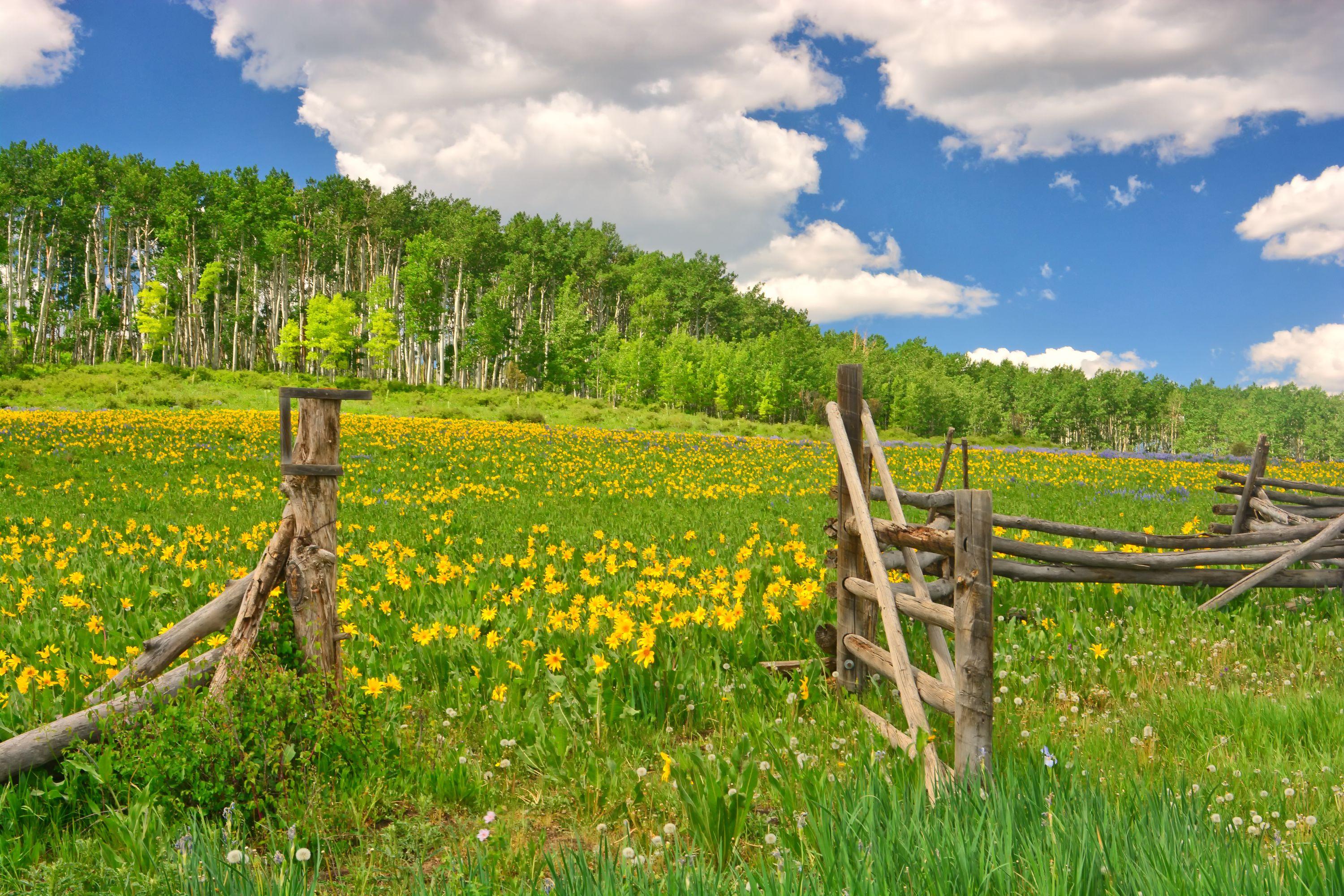 Cheap Flights from Illinois to Colorado from 34 KAYAK