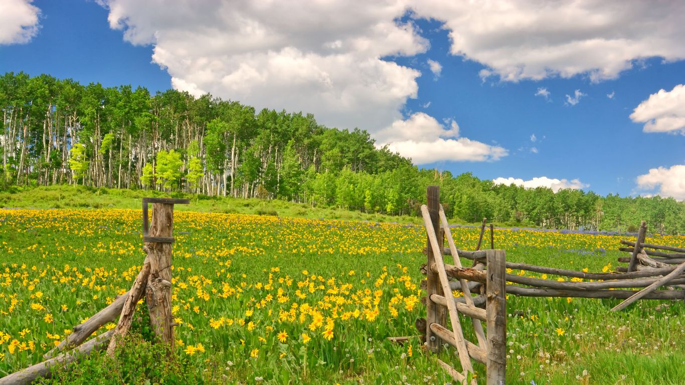 Colorado Colorado
