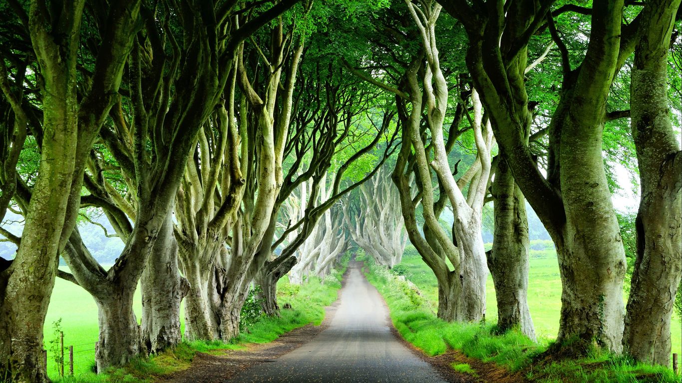 Hotels in Ballymoney