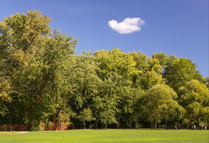 Hotels In Massachusetts Search For Hotels On Kayak