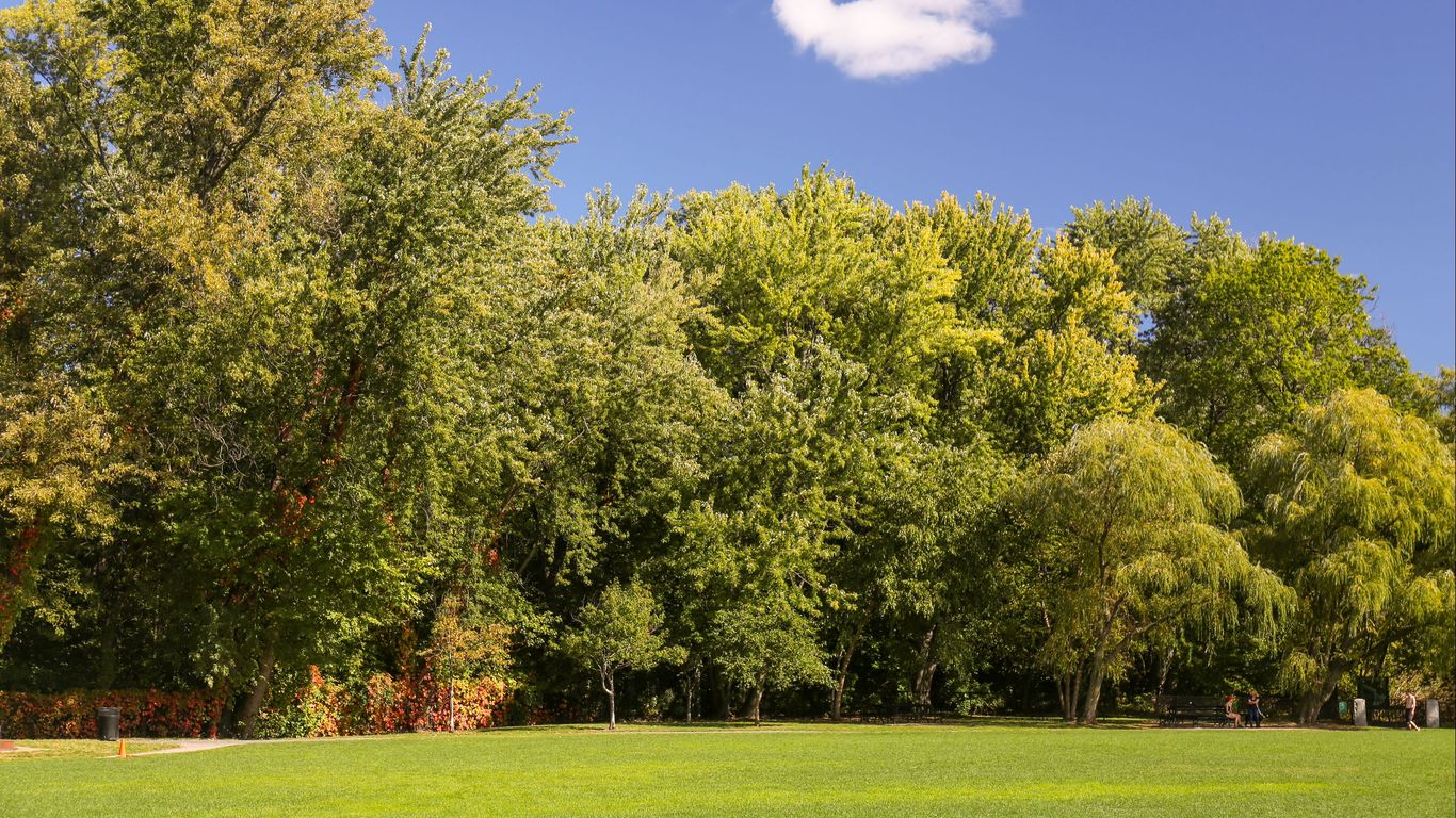 Férias em Brookline