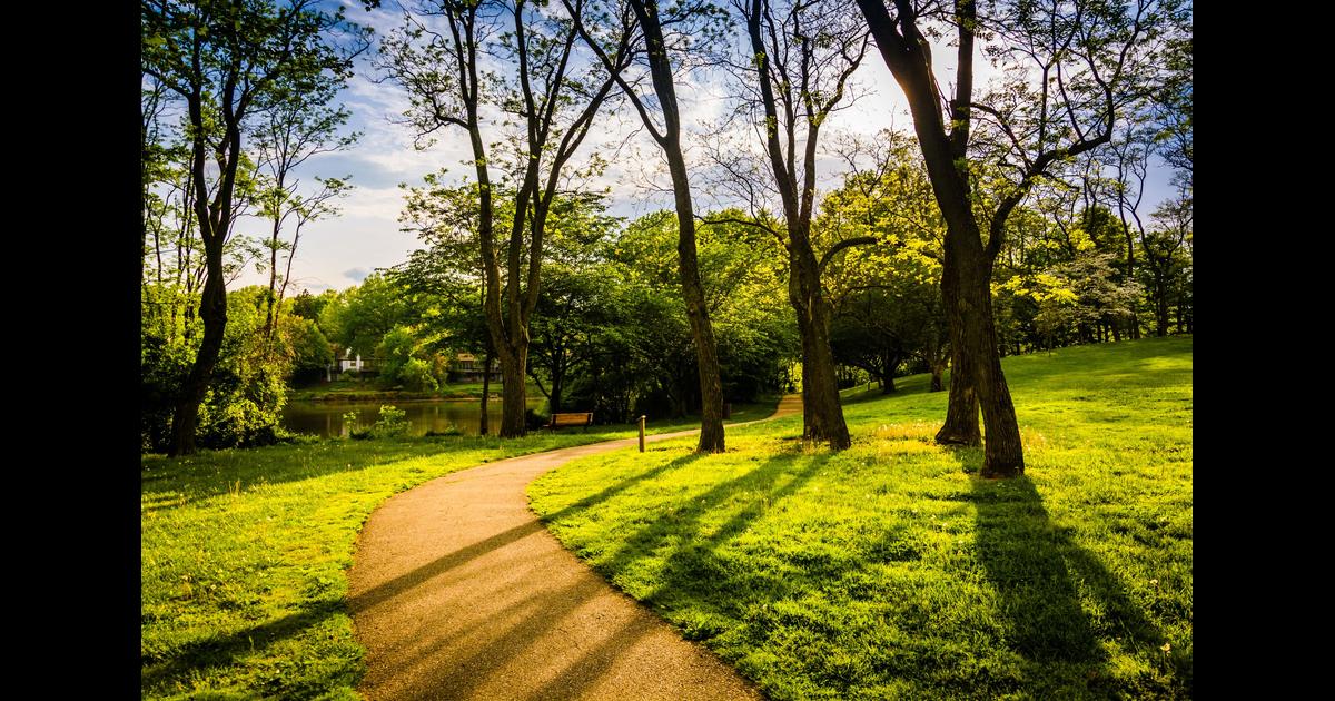 Hertz Car Rentals in Columbia KAYAK