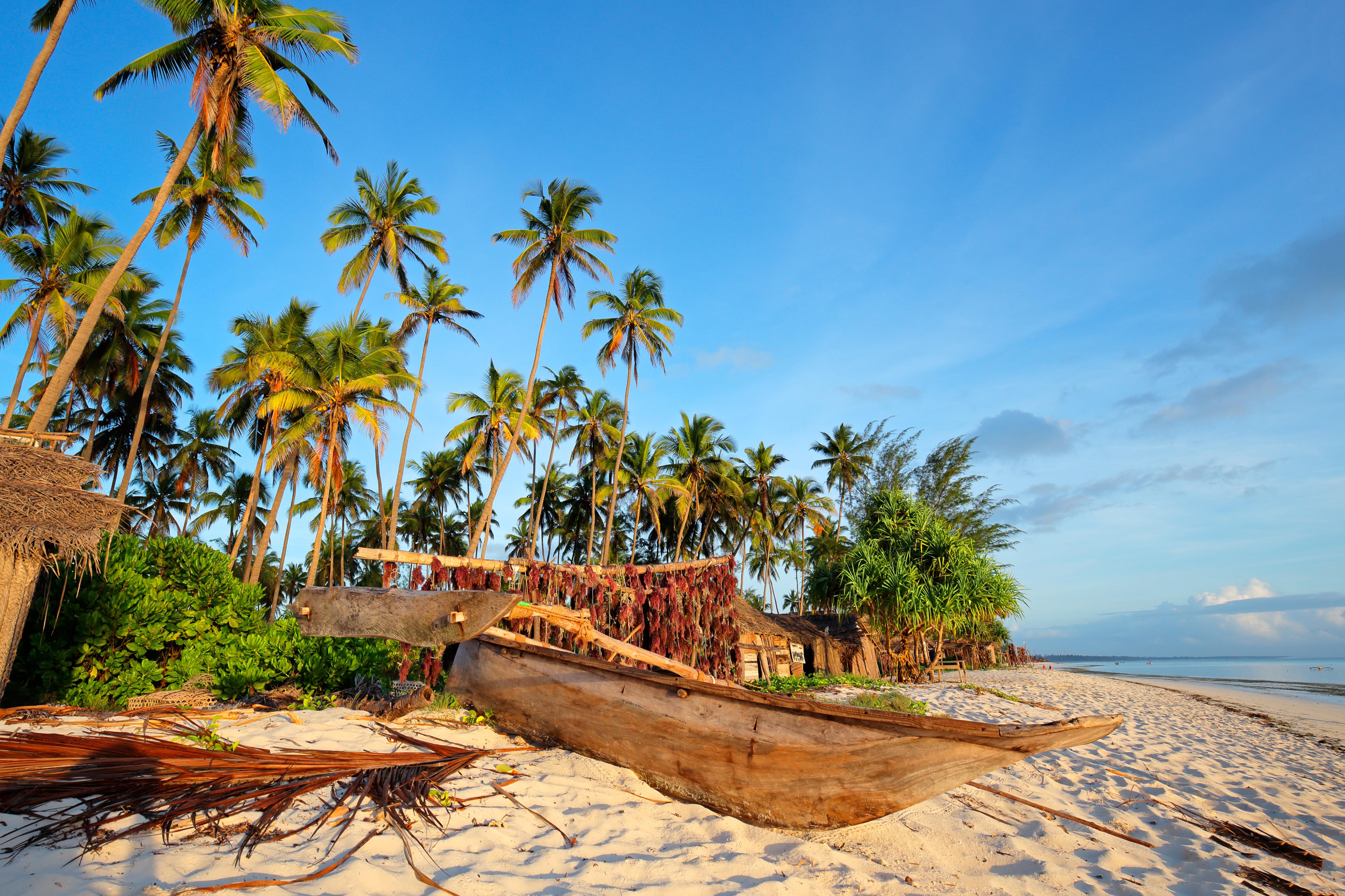 Guia De Viagem Zanzibar Turismo Em Zanzibar KAYAK   F8eb893e City 1557 557840e4 