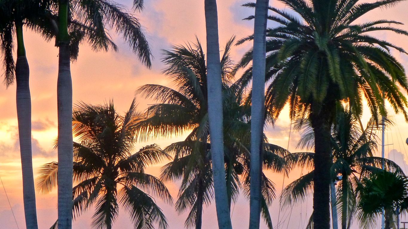 Hotels in Coconut Grove
