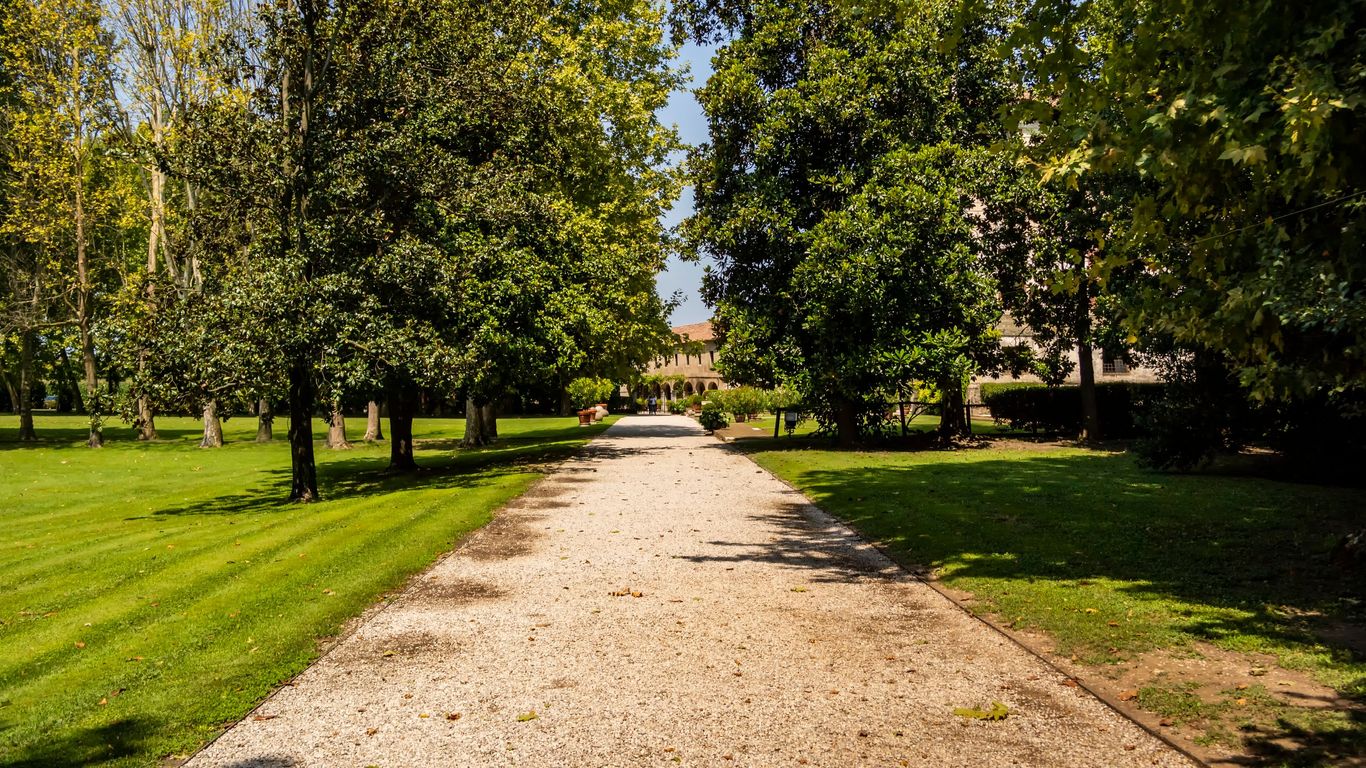 Hotels in Malcontenta