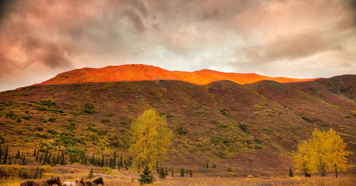 15 Best Hotels in Cantwell KAYAK