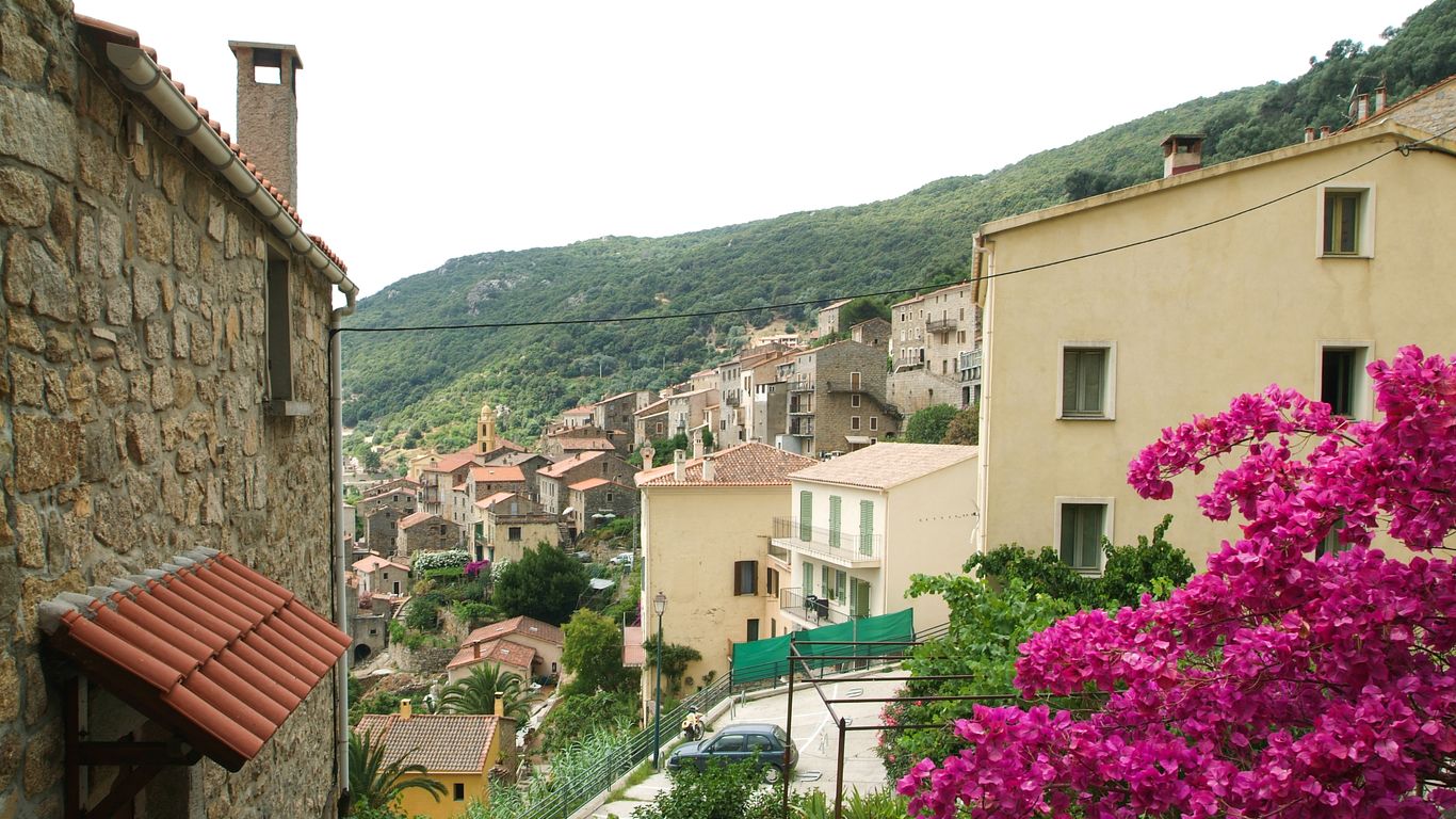 Hotels in Olmeto