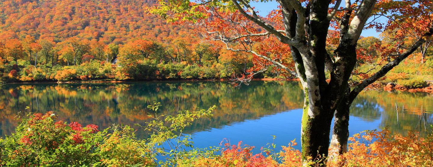 Daisen Car Hire