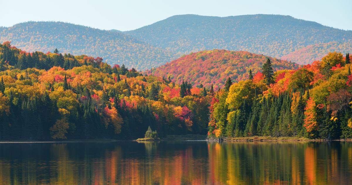 Hotel a SaintDonatdeMontcalm Cerca su KAYAK