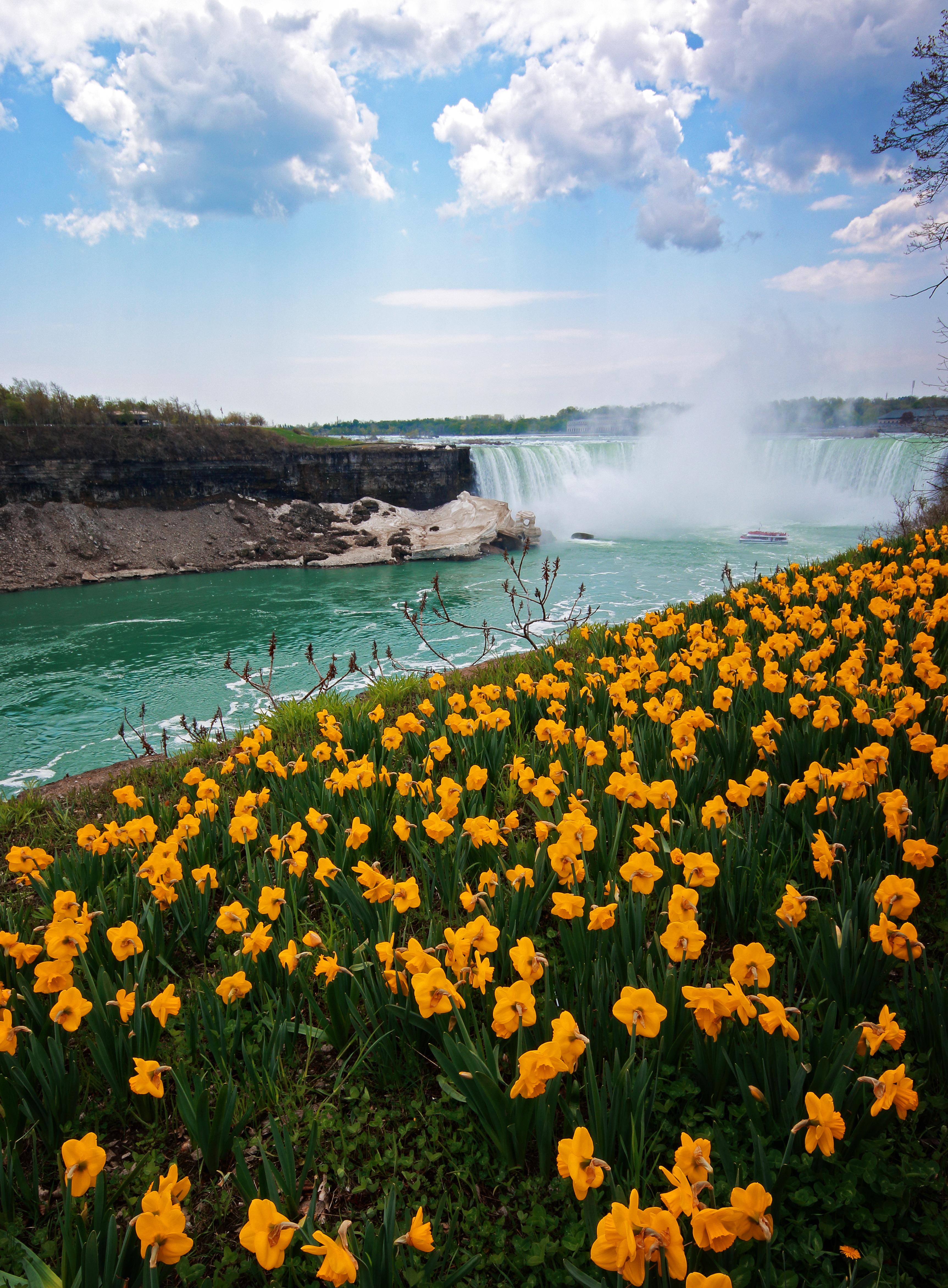 16 Best Niagara Falls Vacation Rentals From $107/night - KAYAK